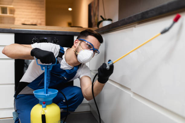 Best Pest Control Near Me  in Coupeville, WA