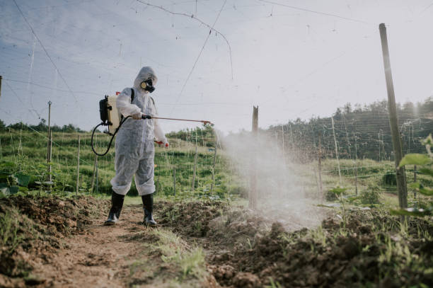 Best Affordable Pest Control Services  in Coupeville, WA