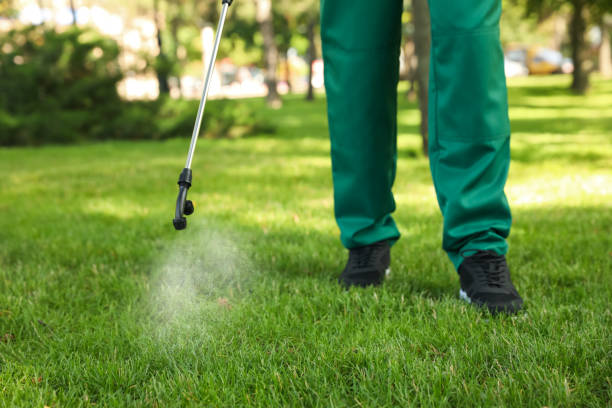 Best Emergency Pest Control  in Coupeville, WA