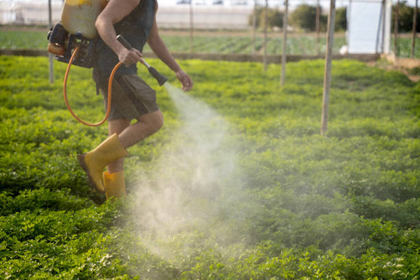 Insect Control in Coupeville, WA